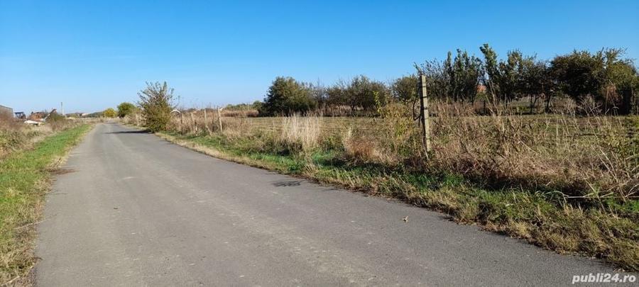Teren de 4000 mp, în Cărpiniș
