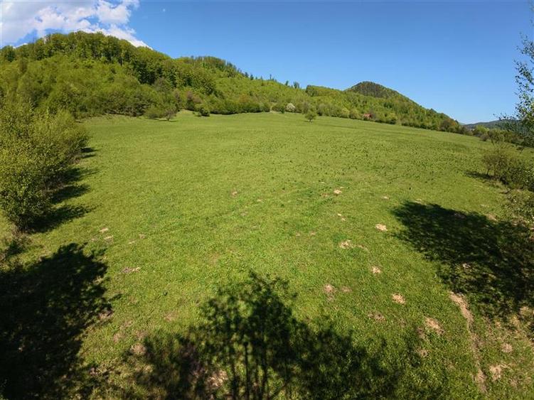 Teren intravilan de 5370 mp, în Poiana Sărată