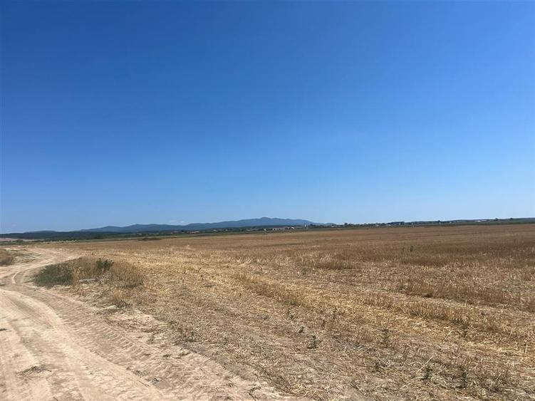Teren agricol extravilan de 44000 mp, în Olcea