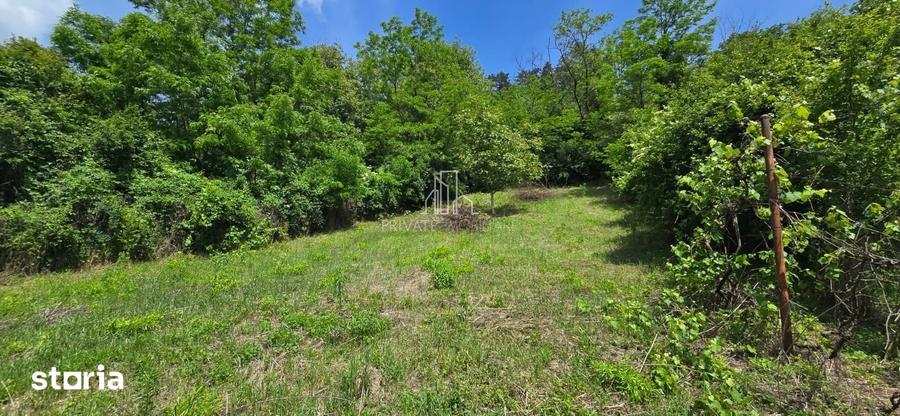 Casă cu 5 camere cu Teren 800 Mp în Vânători