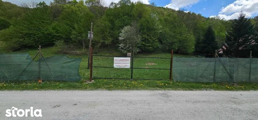 Teren de 2450 mp, în Bulz
