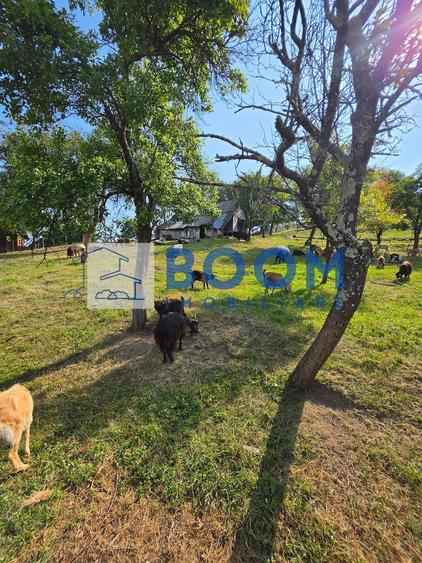 Casă cu Teren 1905 Mp în Berislăvești