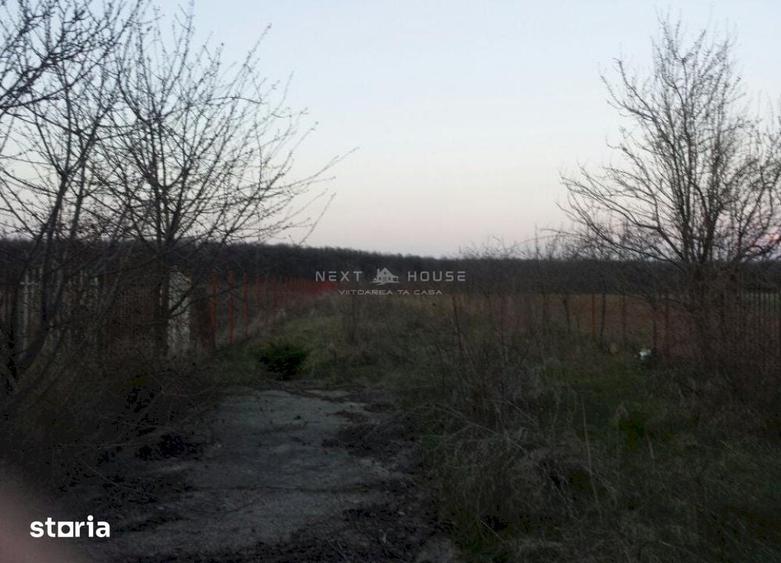 Casă cu 3 camere cu Teren 2350 Mp în Ciolpani