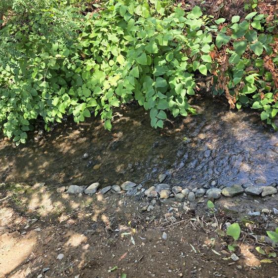 Casă cu 4 camere în Valea Borcutului