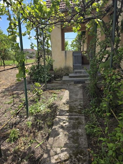 Casă cu 2 camere în Sintea Mică
