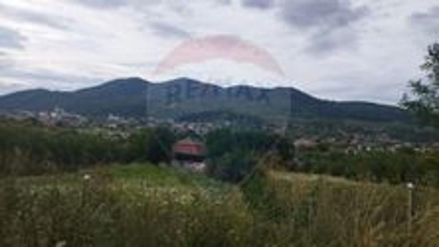 Teren Construcții intravilan de 2900 mp, în Sud-Est