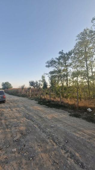 Teren intravilan de vanzare Valea Dacilor - 13