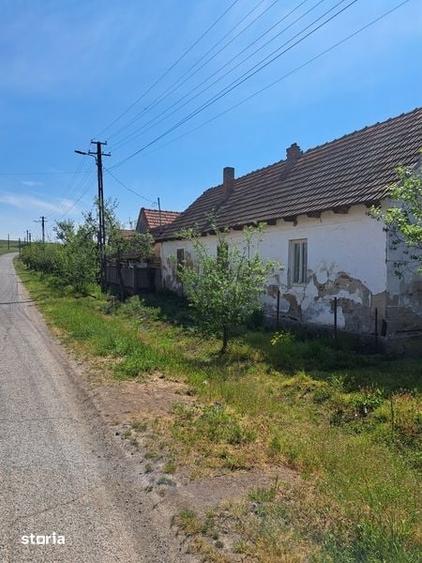 Casă cu 4 camere cu Teren 2400 Mp în Balinț