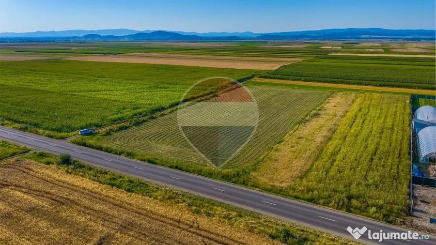 COMISION 0% | Teren intravilan 7.500 mp | Tarlungeni, Brasov - Tarlungeni (Brasov) - 2