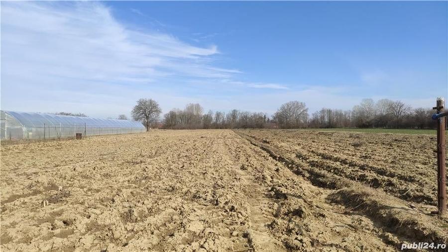 Teren de 2500 mp, în Sud