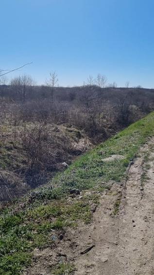 Teren Construcții intravilan de 8300 mp, în Dara