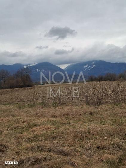 Teren de 2100 mp, în Central