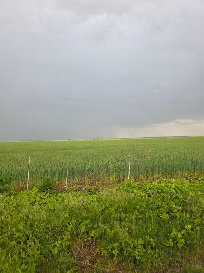Teren agricol intravilan de 4840 mp, în Brănești