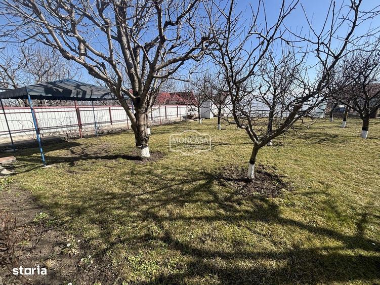 Casă cu Teren 800 Mp în Central