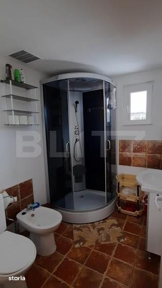 Casă cu 5 camere cu Teren 250 Mp în Șugag