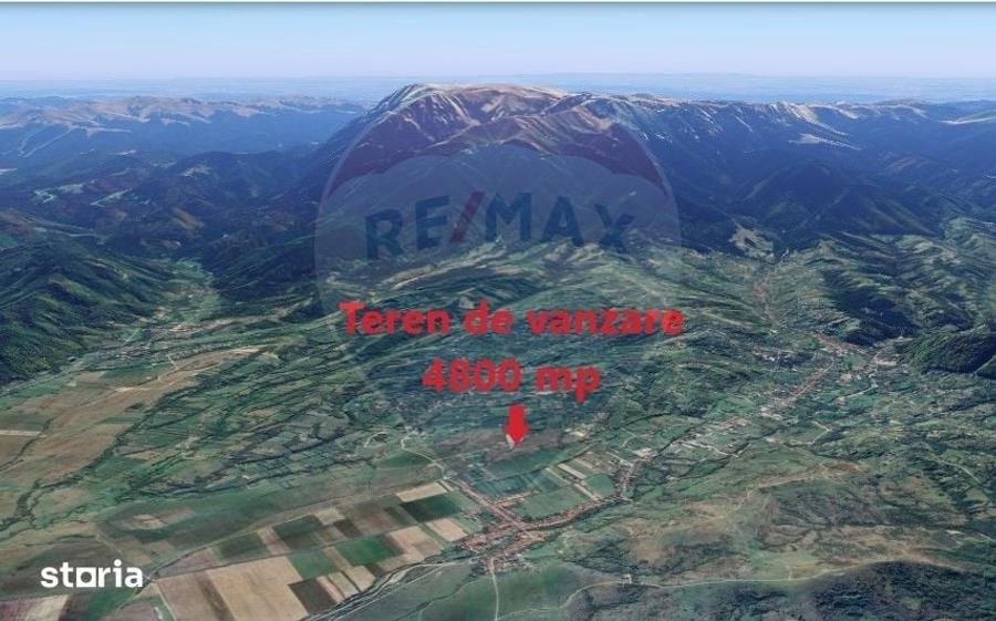 Teren Tohanu Nou, intrare Sohodol, 4800mp - 2