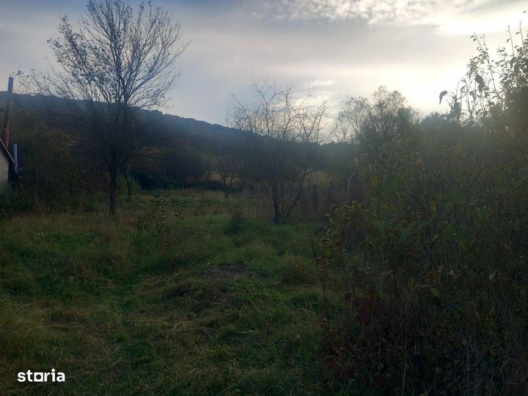 Teren intravilan,9500mp, cu casa veche si utilitati ,Remetea, Unirii - 1