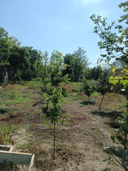 Casă cu 3 camere în Vărsătura