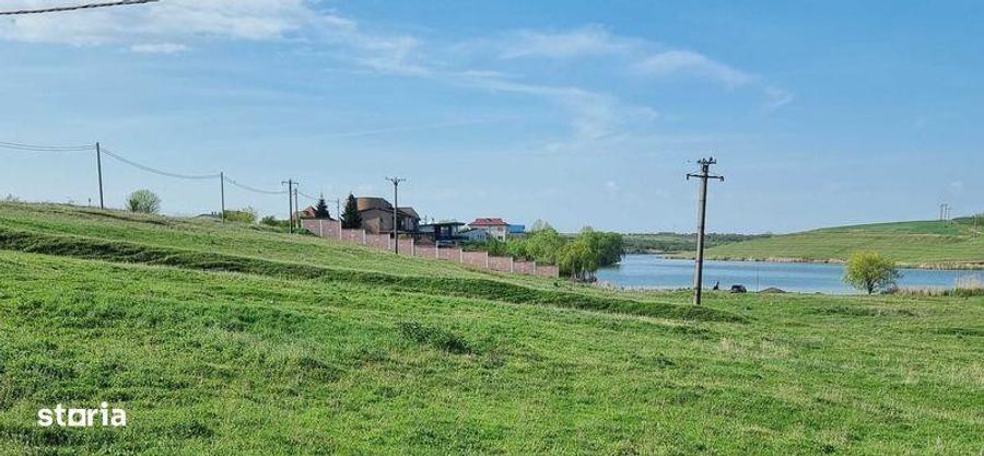 Teren de 4800 mp, în Tămădău Mare