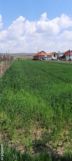 Teren de 2200 mp, în Brădești