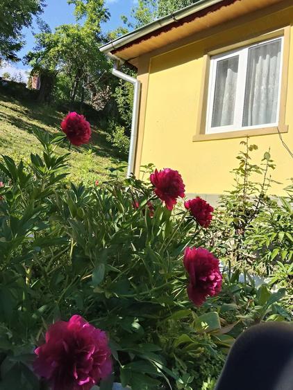 Casă cu 3 camere cu Teren 1538 Mp în Bezdead