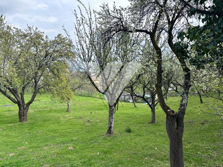 Teren Construcții intravilan de 430 mp, în Săliște