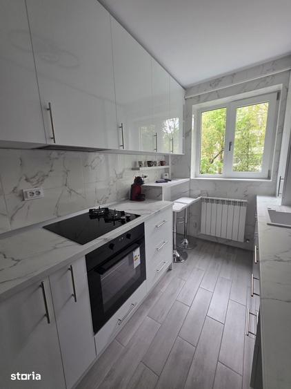 Apartament cu 2 camere, mobilat în Alexandru cel Bun