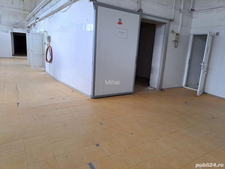 Proprietar inchiriez Abator cu 6400 mp teren intravilan,3000 mp curte betonata+ 1200 mp Frigo
