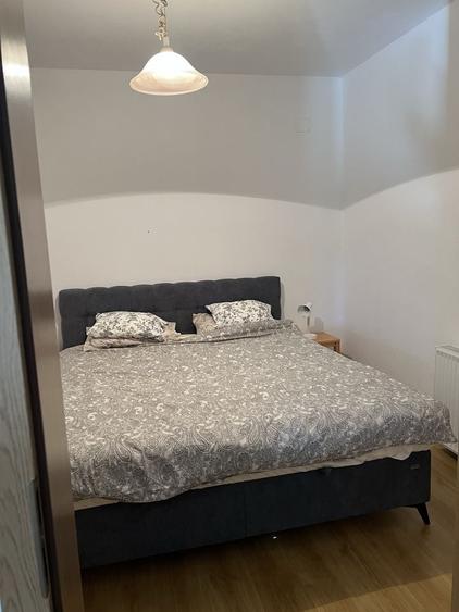 Casă cu 2 camere în Bogda