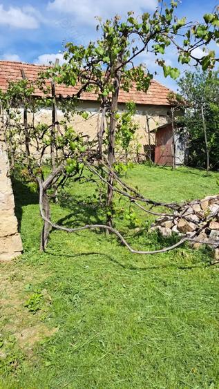 Casă cu 2 camere cu Teren 2200 Mp în Urviș de Beiuș