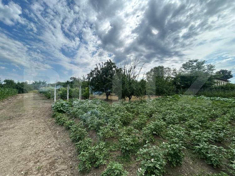 Teren Construcții intravilan de 6796 mp, în Crângurile de Jos