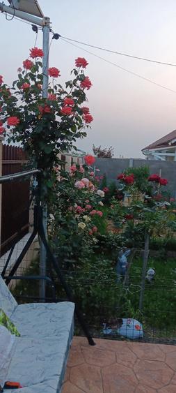 Casă cu Teren 700 Mp în Sânandrei