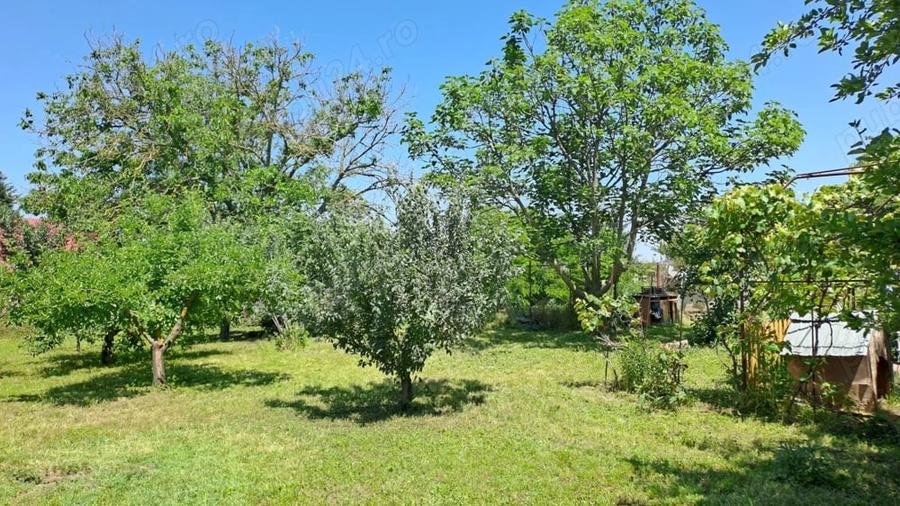 Casă cu 5 camere cu Teren 1375 Mp în Frumușani