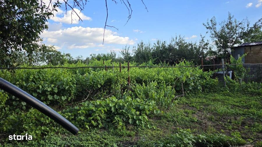 Casă cu 4 camere cu Teren 2200 Mp în Mihai Bravu