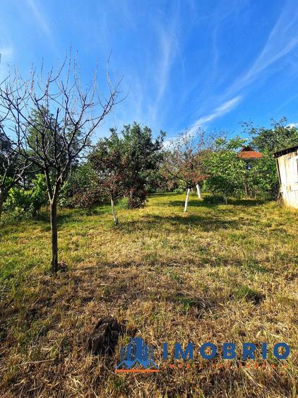 Proprietate panoramica exclusivista in Oradea livada matura cu utilita?i ?i vedere spectaculoasa - 9