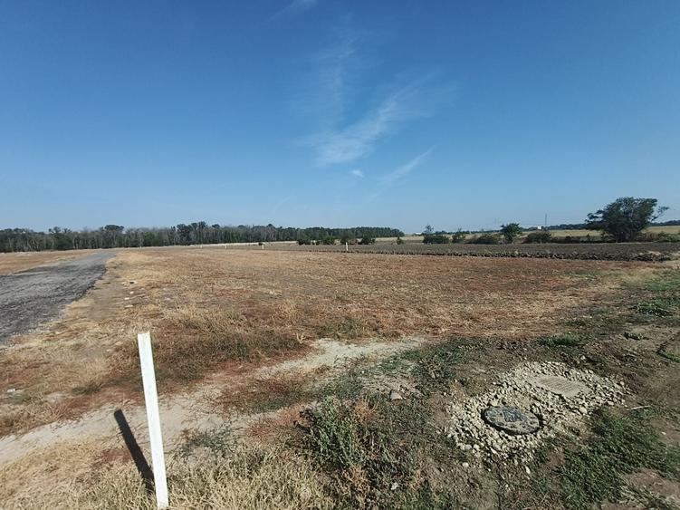 Teren Magurele, Pruni, intravilan - 3