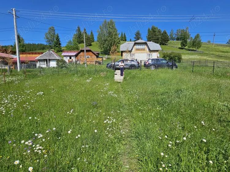 De vanzare Teren intravilan cu casa si anexe in Bucovina Moldova Sulita - 9