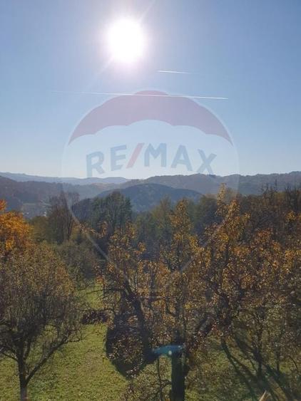 Teren Construcții intravilan de 4972 mp, în Bertea