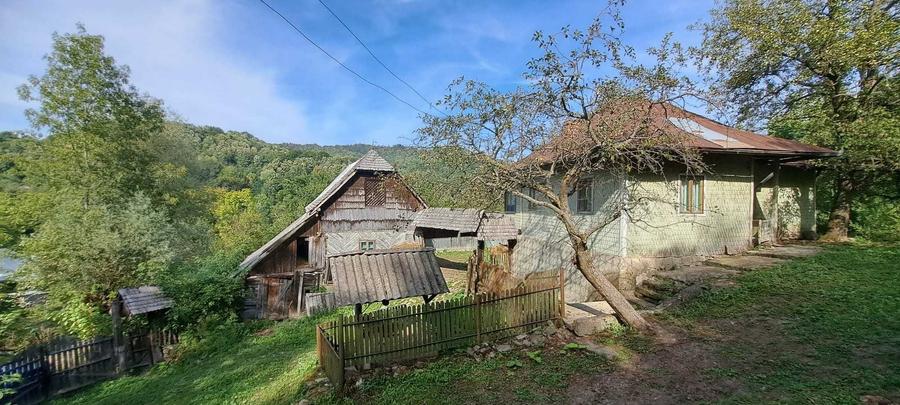 Teren si constructii situate in intravilan 7.780 mp, comuna Bertea, sat Lutu Rosu, Prahova - 4