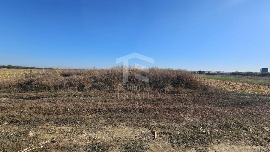 Teren agricol intravilan de 1148 mp, în Copăceni