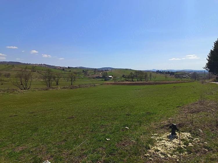 Teren de 2425 mp, în Barcani