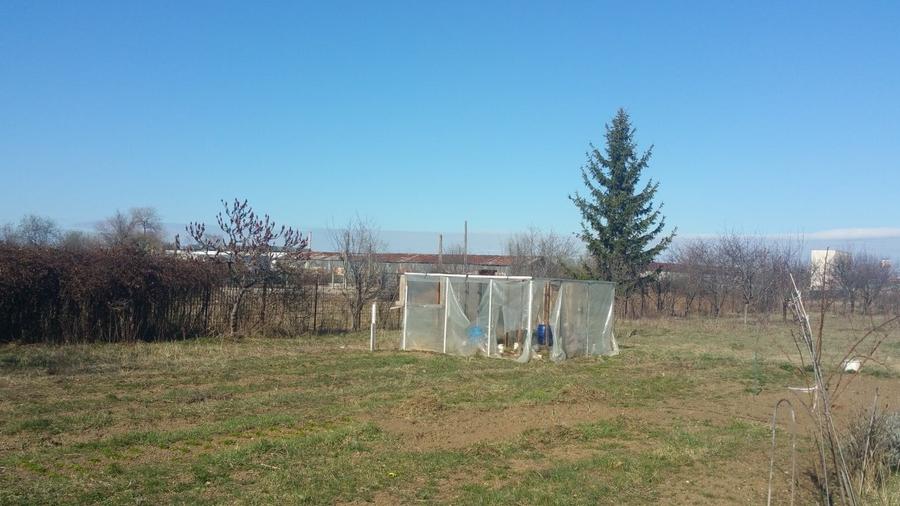 Teren Construcții intravilan de 900 mp, în Noua