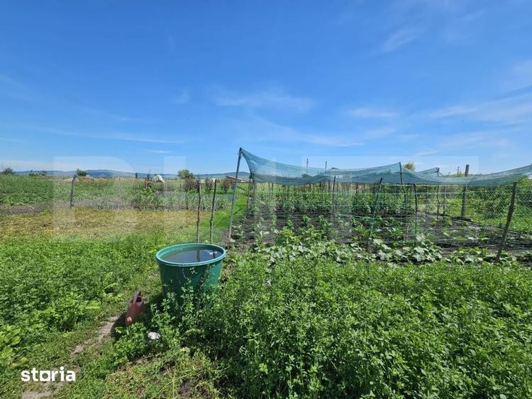 Casa renovata, 4.237mp teren intravilan, Dublu front stradal, Razboien - 9