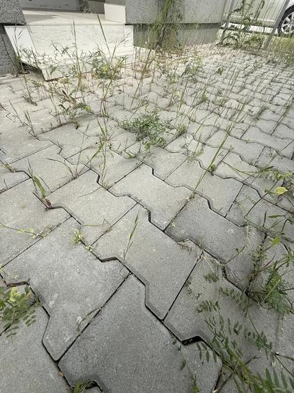 Apartament cu 2 cam decomandat GRADINA, terasa, mobilat Braytim hotel IQ - 3