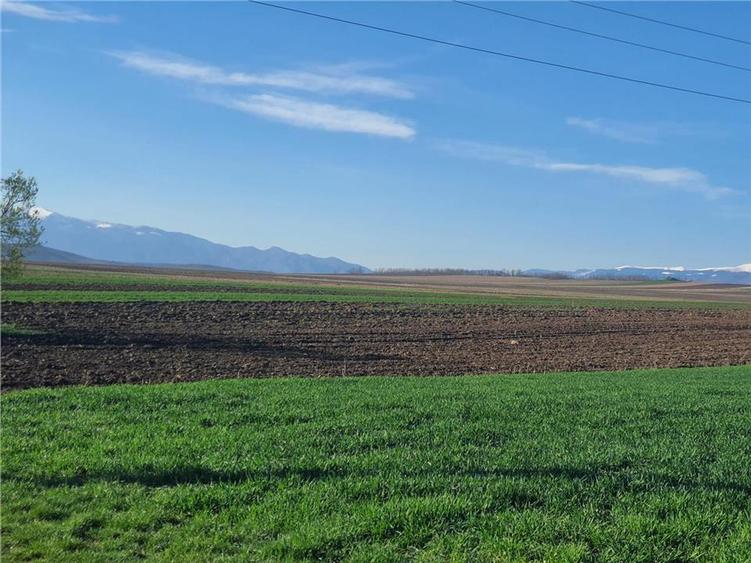 Teren extravilan 4.500- max.18.300mp in comuna Rosia (17 km de Sibiu) - 10