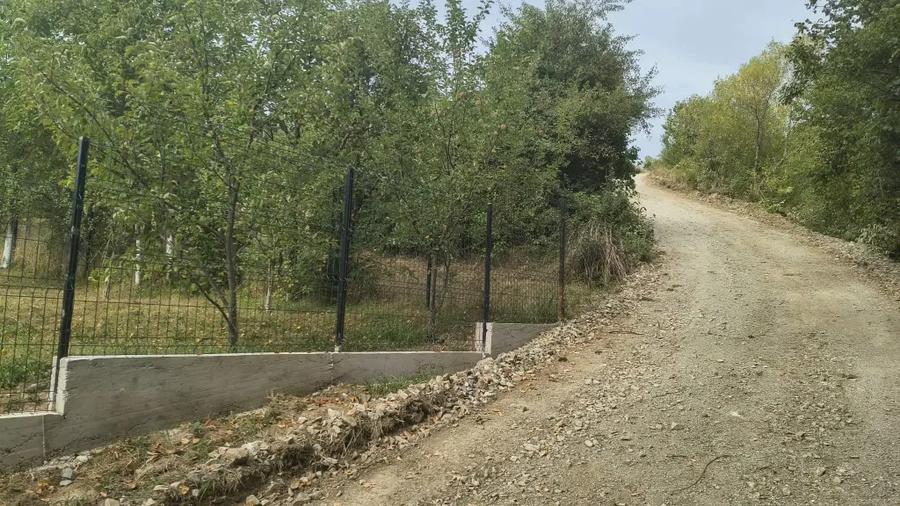 Teren de 2800 mp, în Central