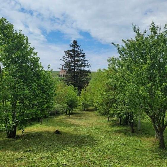 Casă cu 4 camere în Dobârca