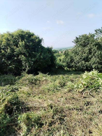 Teren de 2200 mp, în Aiton