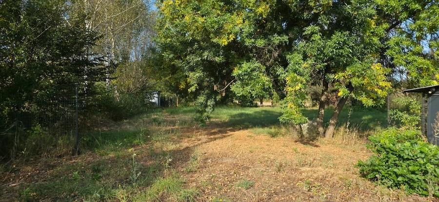 Teren de 800 mp, în Veștem
