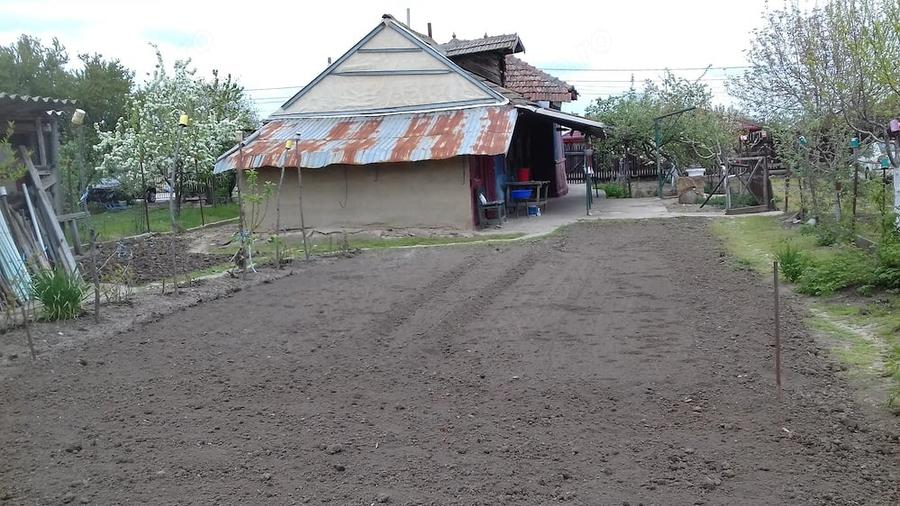 Teren de 1400 mp, în Surlari